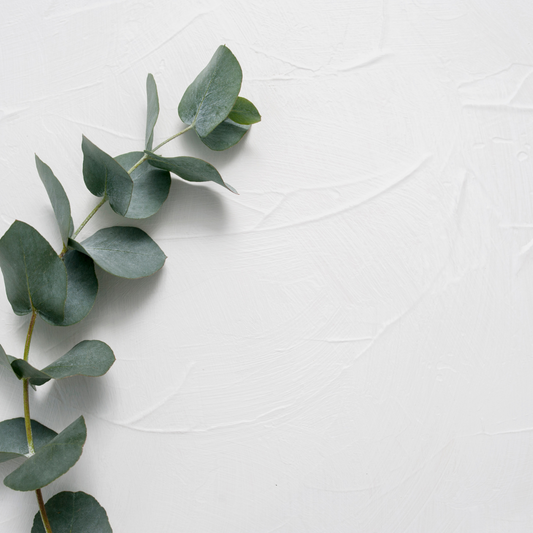 How Eucalyptus Shower Steamers Help Clear Sinuses and Relieve Congestion